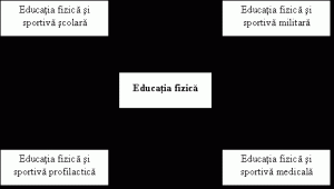 Educatia Fizica Referat