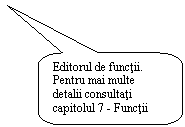 Rounded Rectangular Callout: Editorul de functii. Pentru mai multe detalii consultati capitolul 7 - Functii