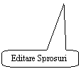 Rounded Rectangular Callout: Editare Sprosuri

